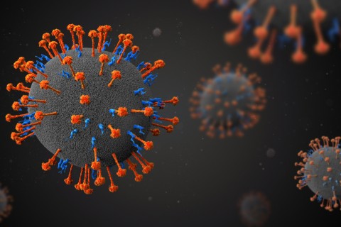 Índia confirma surto do vírus Nipah. Mais de 100 estão em quarentena